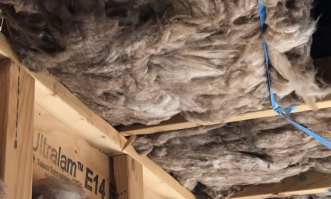 Ceiling Insulation